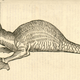Illustration for article titled Centuries-Old Drawings of Europes Greatest Sea Monsters